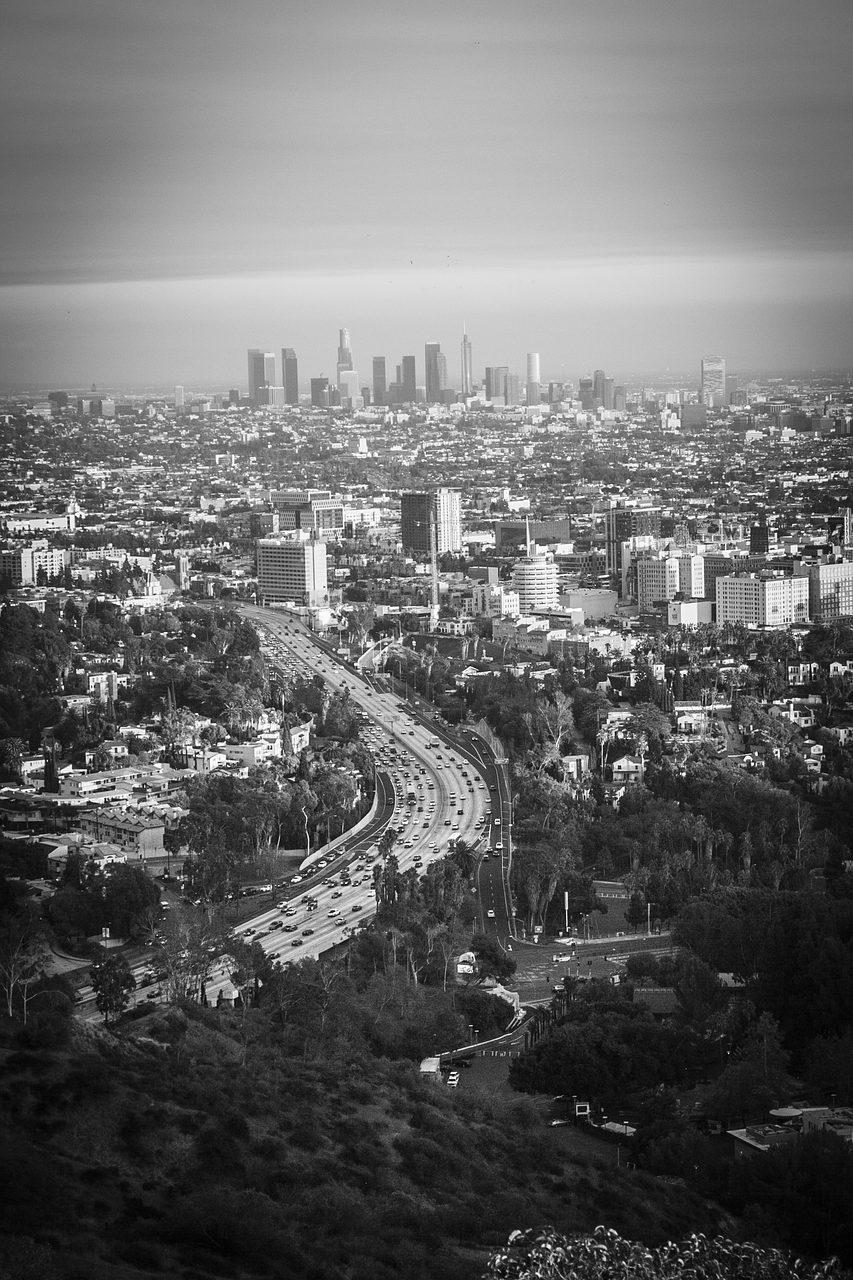 city, los angeles, skyline, gray angel, los angeles, los angeles, los angeles, los angeles, los angeles